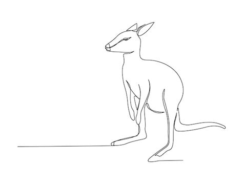 Premium Vector | Continuous one line drawing of kangaroo . simple ...