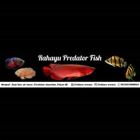 Produk RAHAYU ARWANA Shopee Indonesia