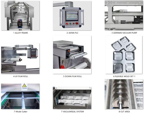 Fully Automatic Rollstock Thermoforming Skin Packing Machine