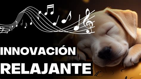 MÚSICA INFALIBLE PARA PERROS PARA RELAJARSE Y DORMIR PROFUNDAMENTE