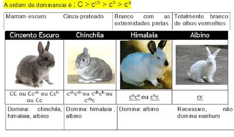 a tricolina biologa Alelos Múltiplos