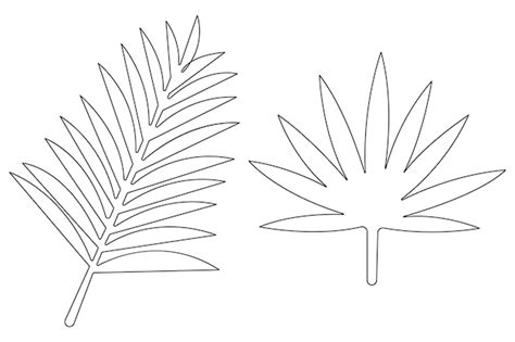 Um Desenho De Uma Folha De Palmeira Um Desenho Da Folha De Palmera