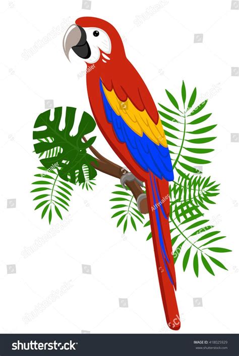 Tropical Parrots Yahoo Image Search Results Ilustra O De P Ssaros