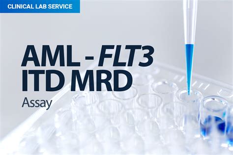 AML FLT3 ITD MRD Assay Invivoscribe