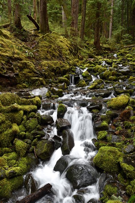 The Best Part About Spring In The Pnw Is All The Creeks That Come To