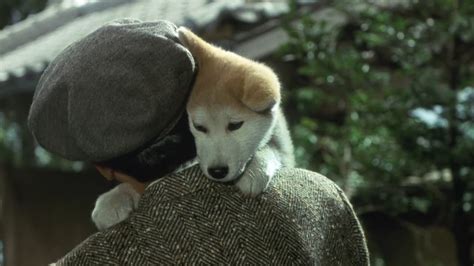 Watch Hachiko (1987) Full Movie Online Free | StreamM4u