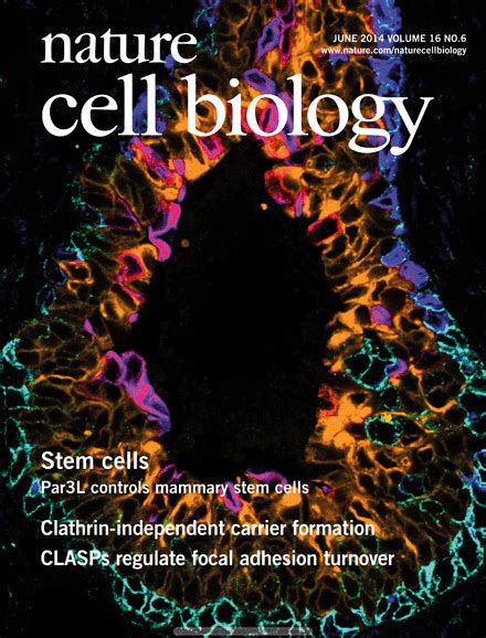 Journal Cover Department Of Cell And Developmental Biology