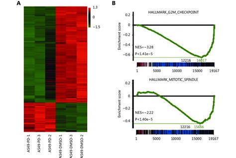 Figure S Genome Wide Gene Expression Profiling In A Cells After