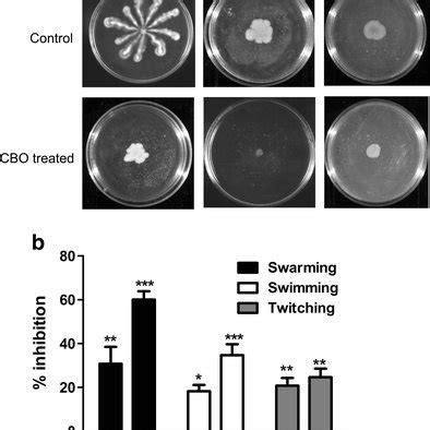 A Impact Of Cbo On Swarming Swimming And Twitching Motility Exhibited