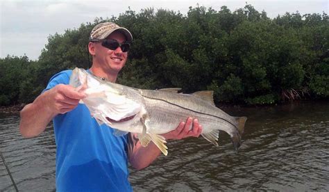 Tampa Bay Fishing With Flats And Bay An Overview Of Tampa Fishing