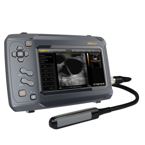 Bestscan ® S6 Touch Curve Bmv Ultrasonido Veterinario El Ganadero