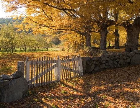 New England Stone Walls Photos Yankee Magazine