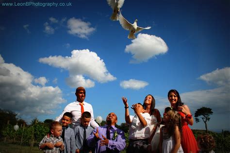 Wedding Doves Wisconsin - and the World - Dove CelebrationDove Celebration