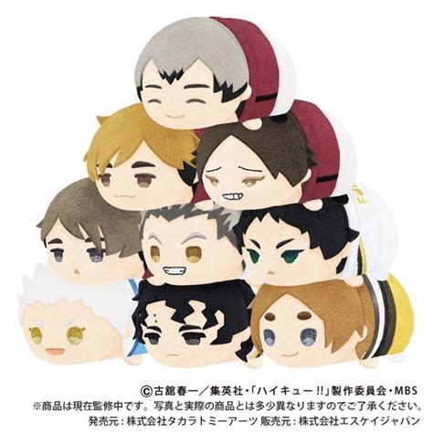 Haikyuu Mochi Mascot Vol 5 สนะรน Shopee Thailand