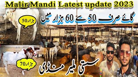 Malir Mandi Latest Update 2023 Mandi Sasti Hogae YouTube