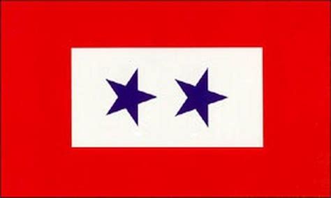 Two Star Service Flag 3x5 FT