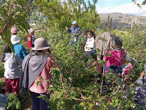 Productores Con Agricultura Sustentable El Heraldo