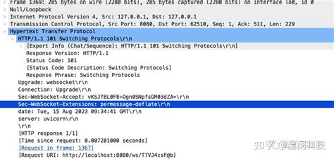 解密与探究理解WebSocket协议与报文格式 知乎