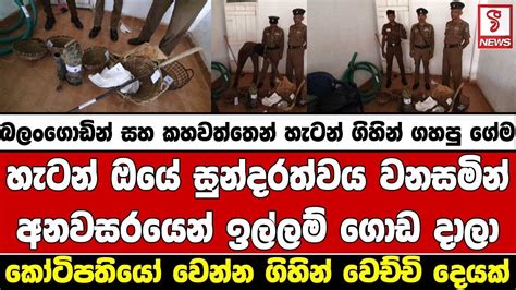 කෝටිපතියෝ වෙන්න ගිහින් වෙච්චි දෙයක් Youtube