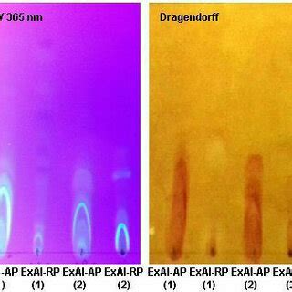 Confirmation Of The Presence Of The Alkaloids In The Various Extracts