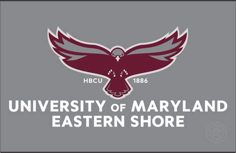 Maryland-Eastern Shore Hawks Logo - Primary Dark Logo - NCAA Division I ...