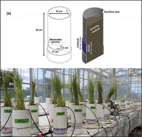 A Schematic Diagram Of Air Cathode Microbial Fuel Cell B Setup For Download Scientific