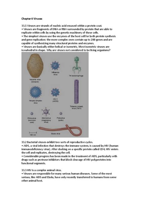 Biol Summary Ch Chapter Viruses Viruses Are Strands Of