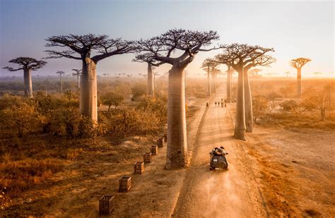 Madagaskar Gezi Rehberi Madagaskar a Dair Her Şey Afrika