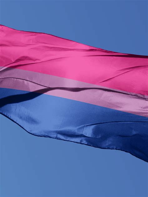 Pride Flags Explained: Bisexual Flag History, 41% OFF