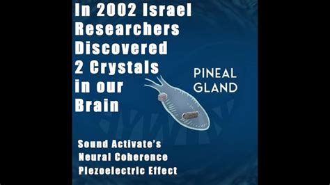 Activates 2 CRYSTALS In Our Pineal Gland Vibrate Cause By Sound