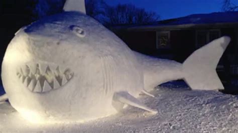 Video Shot Snow Shark