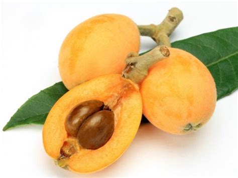 10 Best Benefits of Loquat | Organic Facts