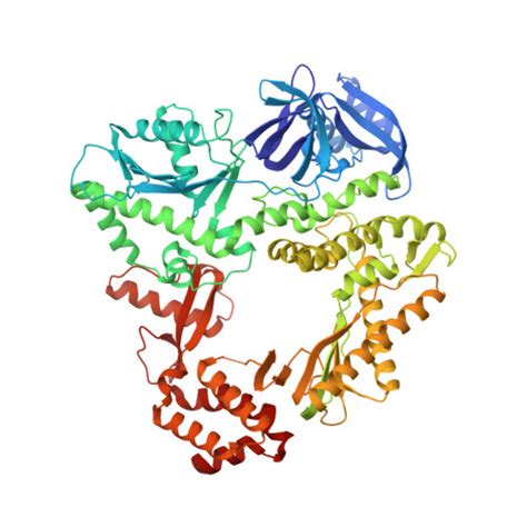 RCSB PDB 3K5O Crystal Structure Of E Coli Pol II