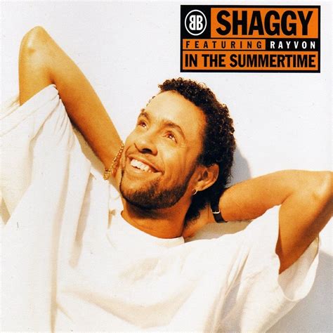 Car Tula Frontal De Shaggy In The Summertime Featuring Rayvon Cd