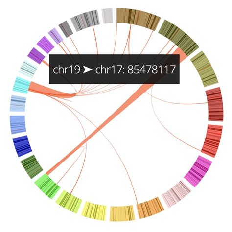 Part Of A Multiple Sequence Alignment Displayed As A Plotly Heatmap