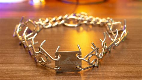 Leerburg | Leerburg's Affordable Stainless Steel Prong Collar