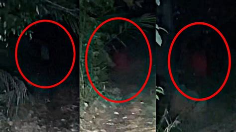 Bukit Altantuya Pontianak Merah Menjelma Paranormal Dzp Dauz