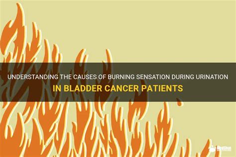 Understanding The Causes Of Burning Sensation During Urination In