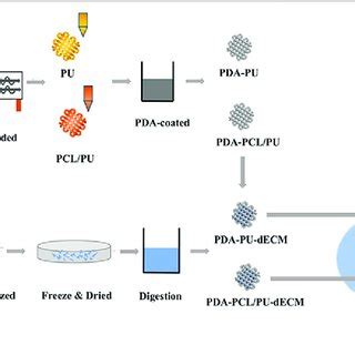 Schematic Illustration Of The Construction Process Of The Composite