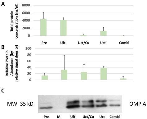 Membranes Free Full Text Surface Modification Of E Coli Outer Membrane Vesicles With