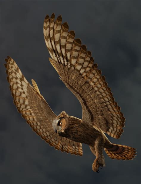 DS Fantasy Owl Species | Daz 3D