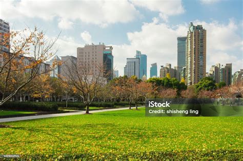 urban green space  office buildings stock photo  image