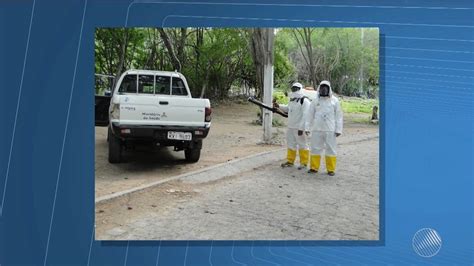 Confirmado Primeiro Caso De Febre Amarela Em Primata Na Cidade De Paulo