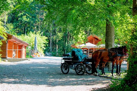 Wandern Bodensee Von Bischofszell Auf Den Sankt Pelagiberg