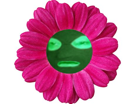 Sticker De Homoursporc Sur Fleur Vert Risi Risitas