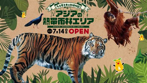 名古屋市東山動植物園 On Twitter 【新着のお知らせ】「アジアの熱帯雨林エリア」がオープンします