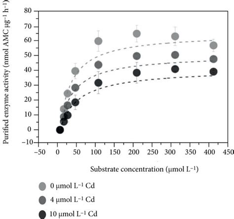 Effect Of Cd On The Inhibition Rate And Kinetic Constants Of Lap A