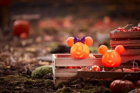 Mickey And Minnie Mini Jack O Lanterns Now Available From The Disney