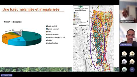 Webinaire ADEME Territoire Engagé Gestion des forêts et réchauffement