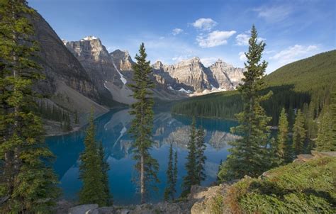 Wallpaper Forest Trees Mountains Canada Banff National Park Canada